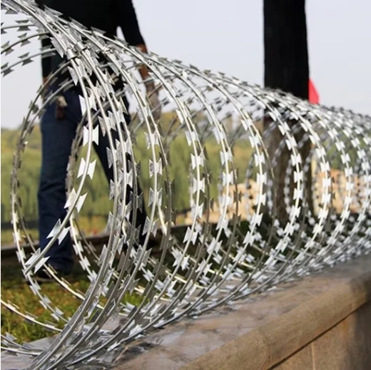 Double Razor Wire high quality