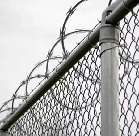 Razor Barbed Wire Fencing Application 1 Razor Barbed Wire Fencing Application 1