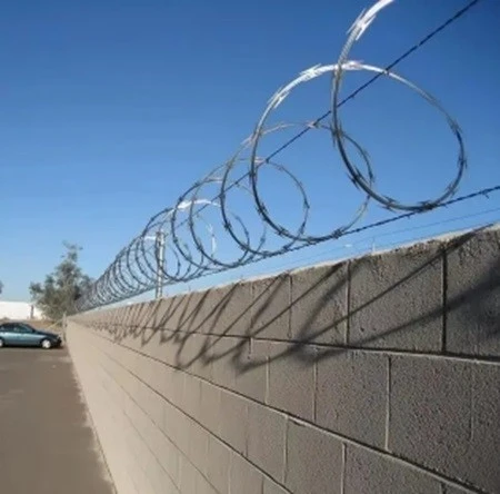 Razor Barbed Wire Fencing Application 2